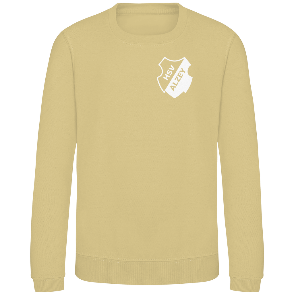 Kinder Sweatshirt HSV Alzey Wappen