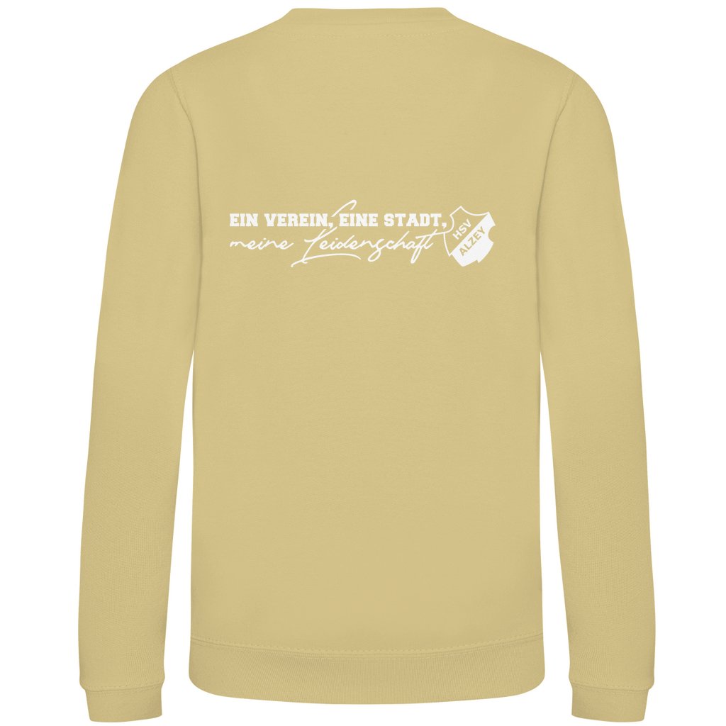 Kinder Sweatshirt HSV Alzey Wappen